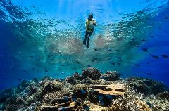 PADI Certified Snorkel Guide Course