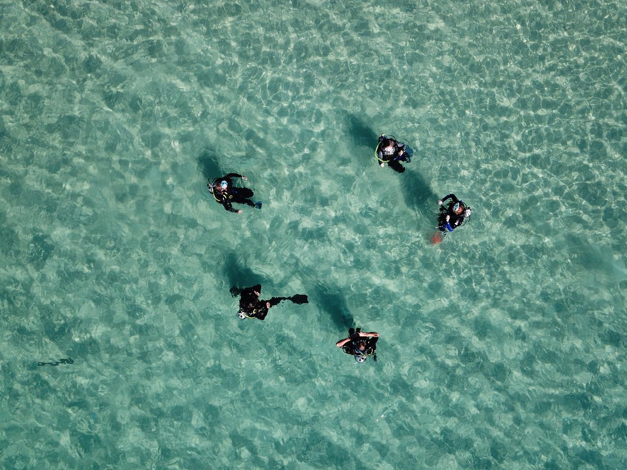 Advanced PADI Open Water Course - Keppel Dive