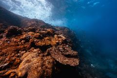 $100 Keppel Dive & Water Sports Gift Card