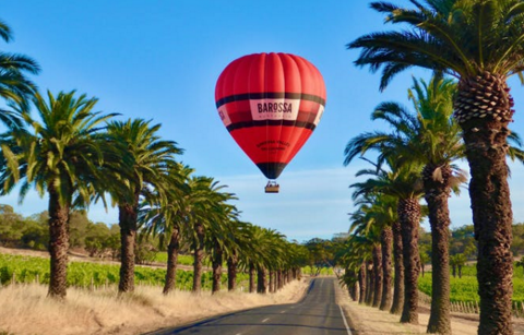 Barossa Private Tour