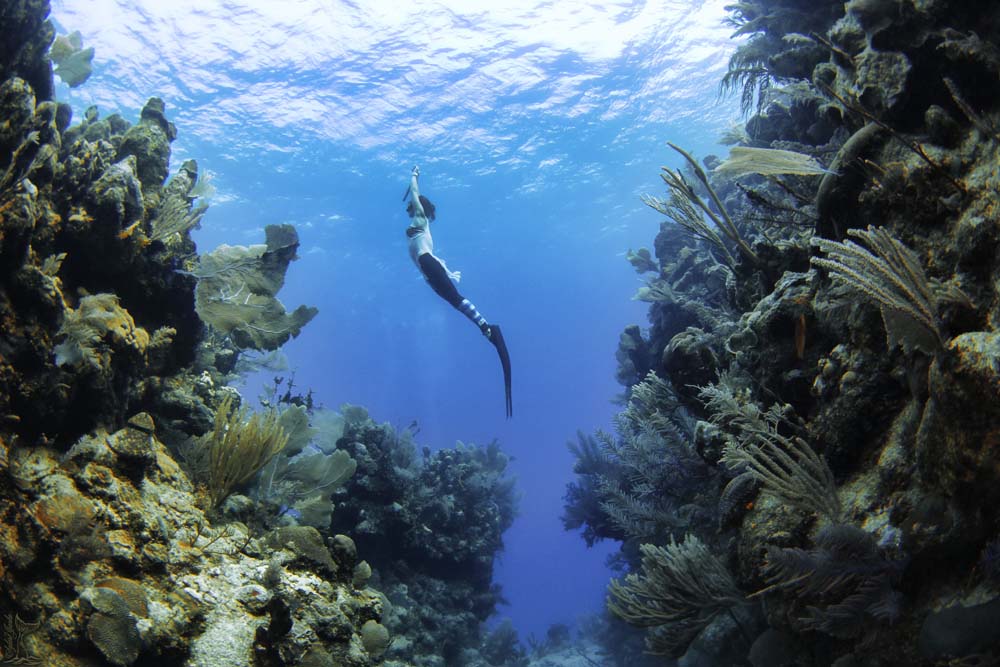 Freediver Course