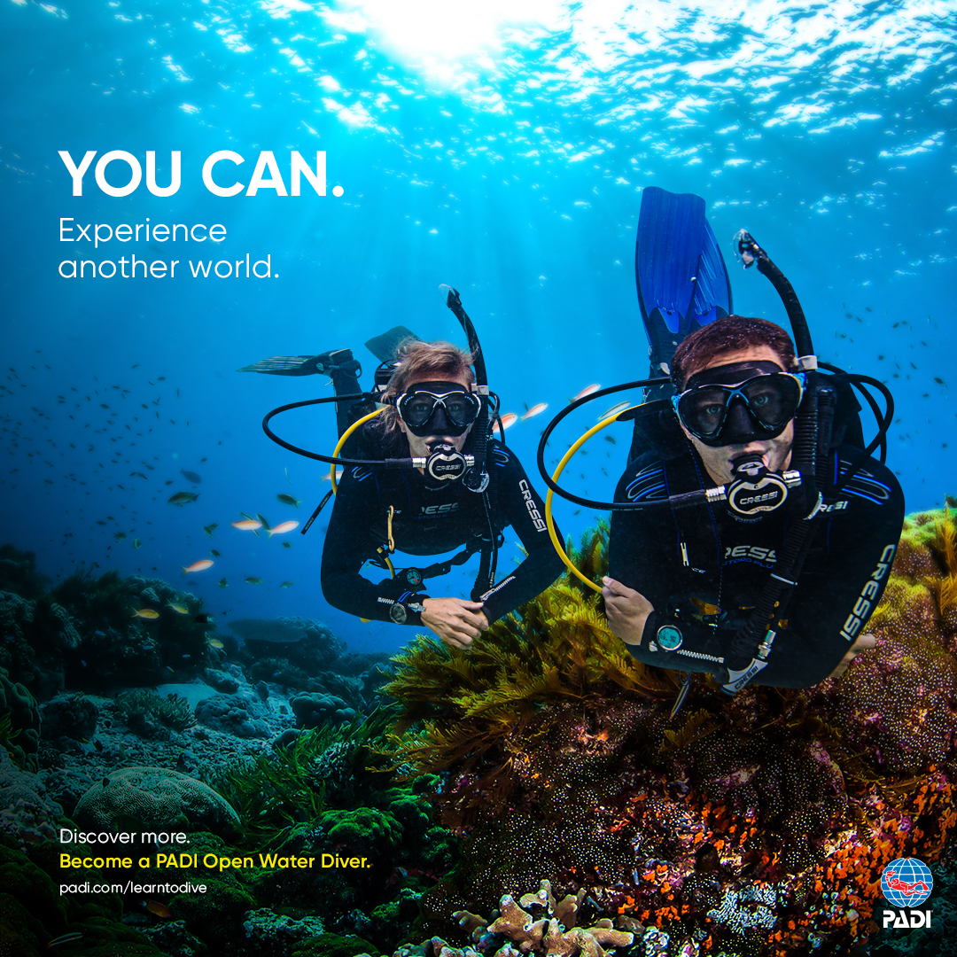 PADI Open Water Diver Course