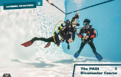 PADI Divemaster Course in Eilat