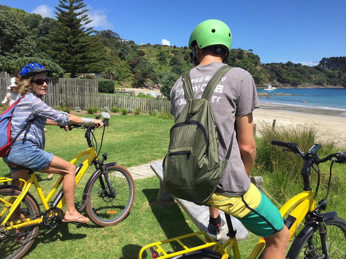 Cruiser eBike - WAIHEKE