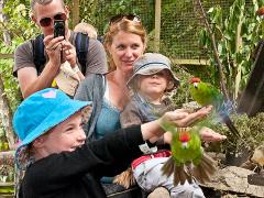 12.15pm- 4.00pm Cruise and Explore, and Family Day Out