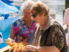  9am - 2.45pm Cruise and Explore Combo