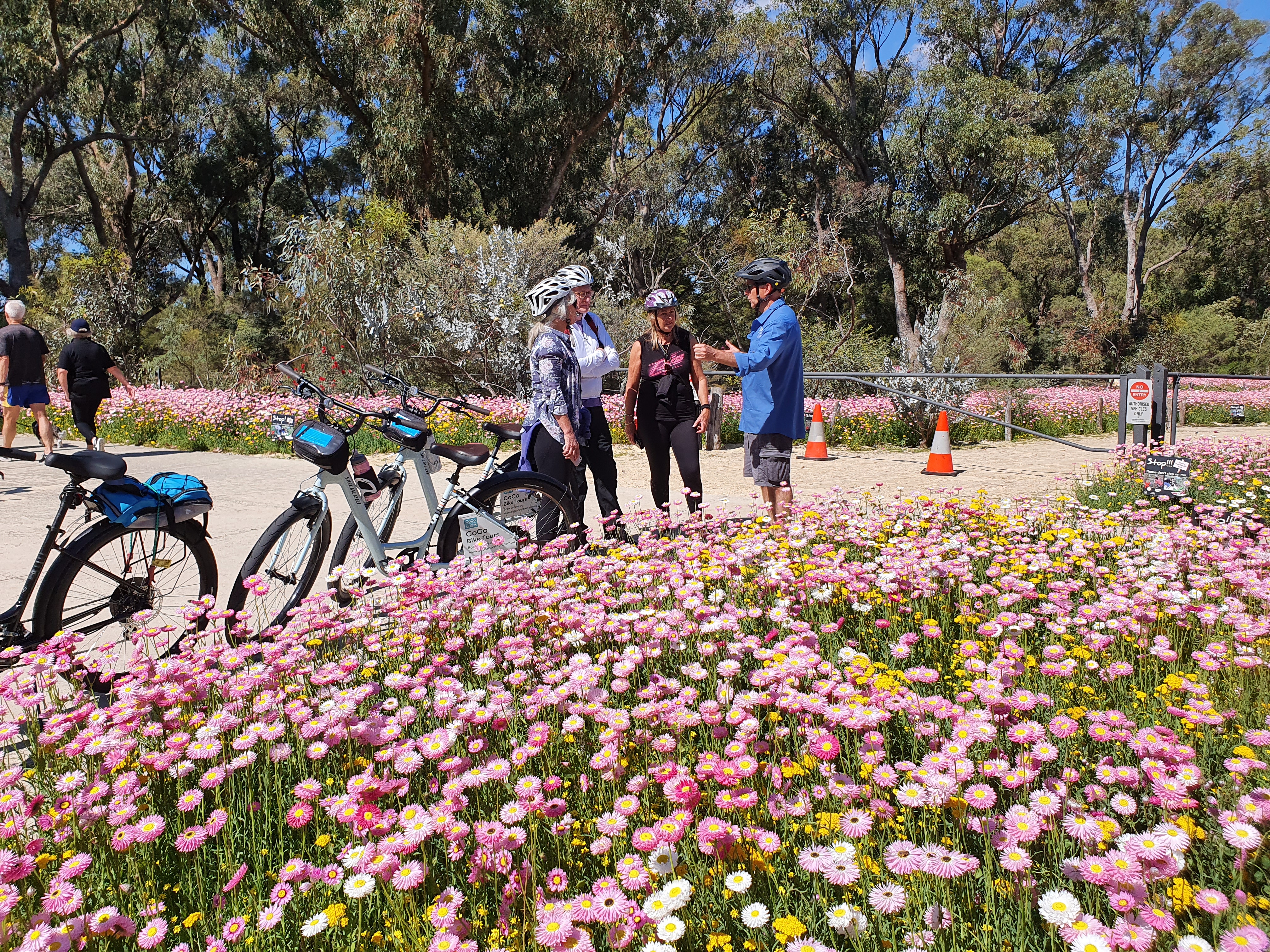 Pedals & Petals - Wildflower Festival Bike Tour Kings Park