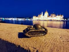 Discovery Walk: Budapest’s Scenic Danube Banks: a mysterious trail