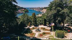 Discovery Walk in Porto’s Jardins do Palacio de Cristal: fairytale views and better conversations