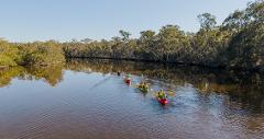 Kayak Tour Noosa/Southern end Everglades & Stingrays PM