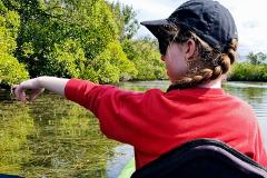 Self Guided Kayak Tour - Noosa/Southern End Everglades and Stingrays AM