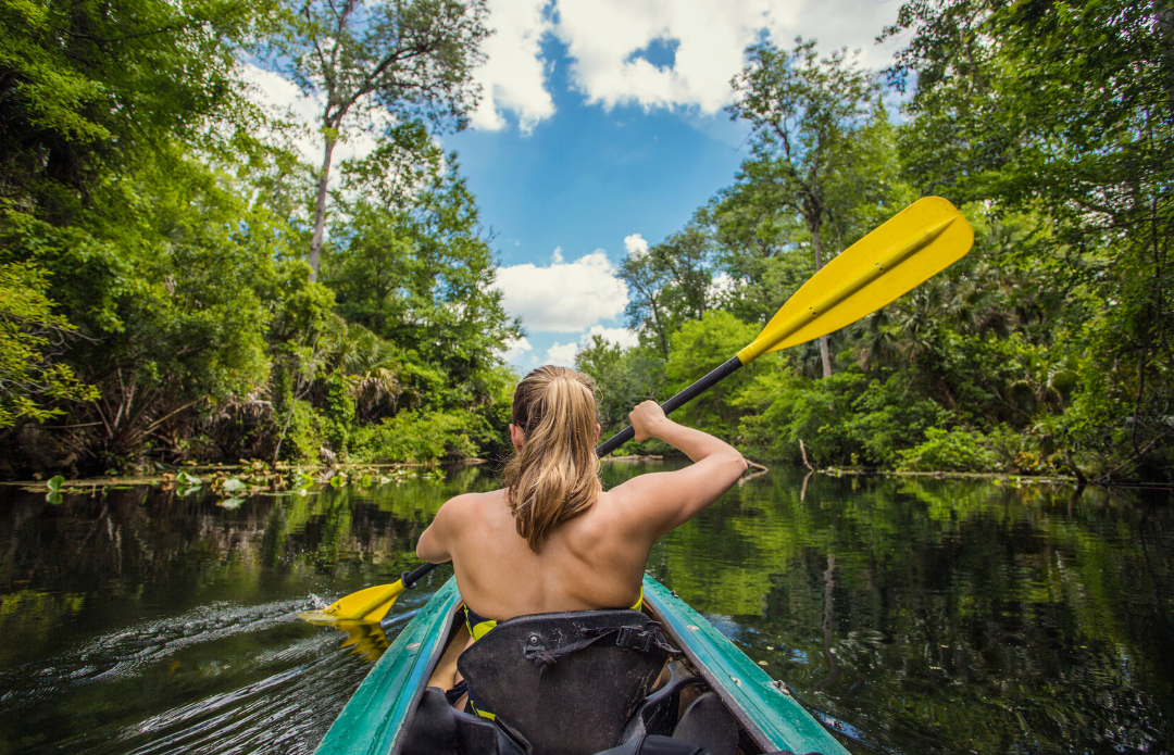 Kayaks & Stingrays: discover hidden creeks whilst spotting Stingrays