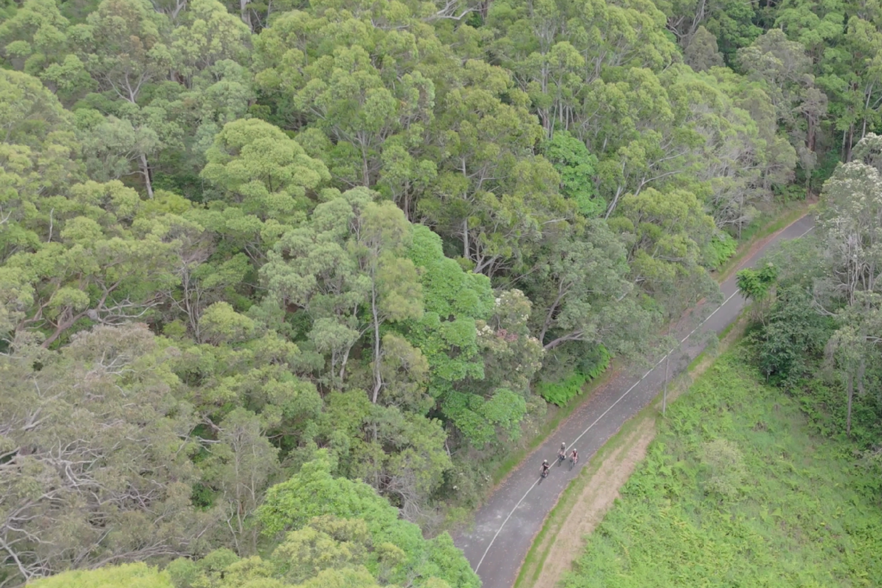Noosa E-Bike Tour - Mt Tinbeerwah to Noosa