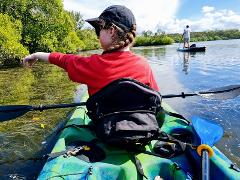 Private Kayak Tour Noosa/Southern end Everglades & Stingrays 9am - 12pm
