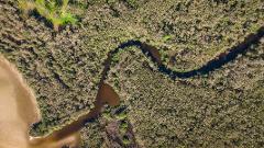 Self Guided Kayak Tour - Noosa/Southern End Everglades and Stingrays AM