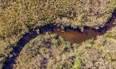 Kayak Tour Noosa/Southern end Everglades & Stingrays AM