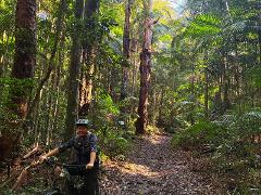 Guided 3 Day Noosa Hinterland Biosphere Trail EMTB Tour 