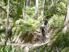 e-Mountain Bike Tour, fun trails exploring a National Park AM