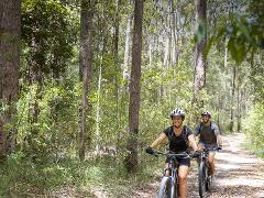 e-Mountain Bike Tour, fun trails exploring a National Park PM