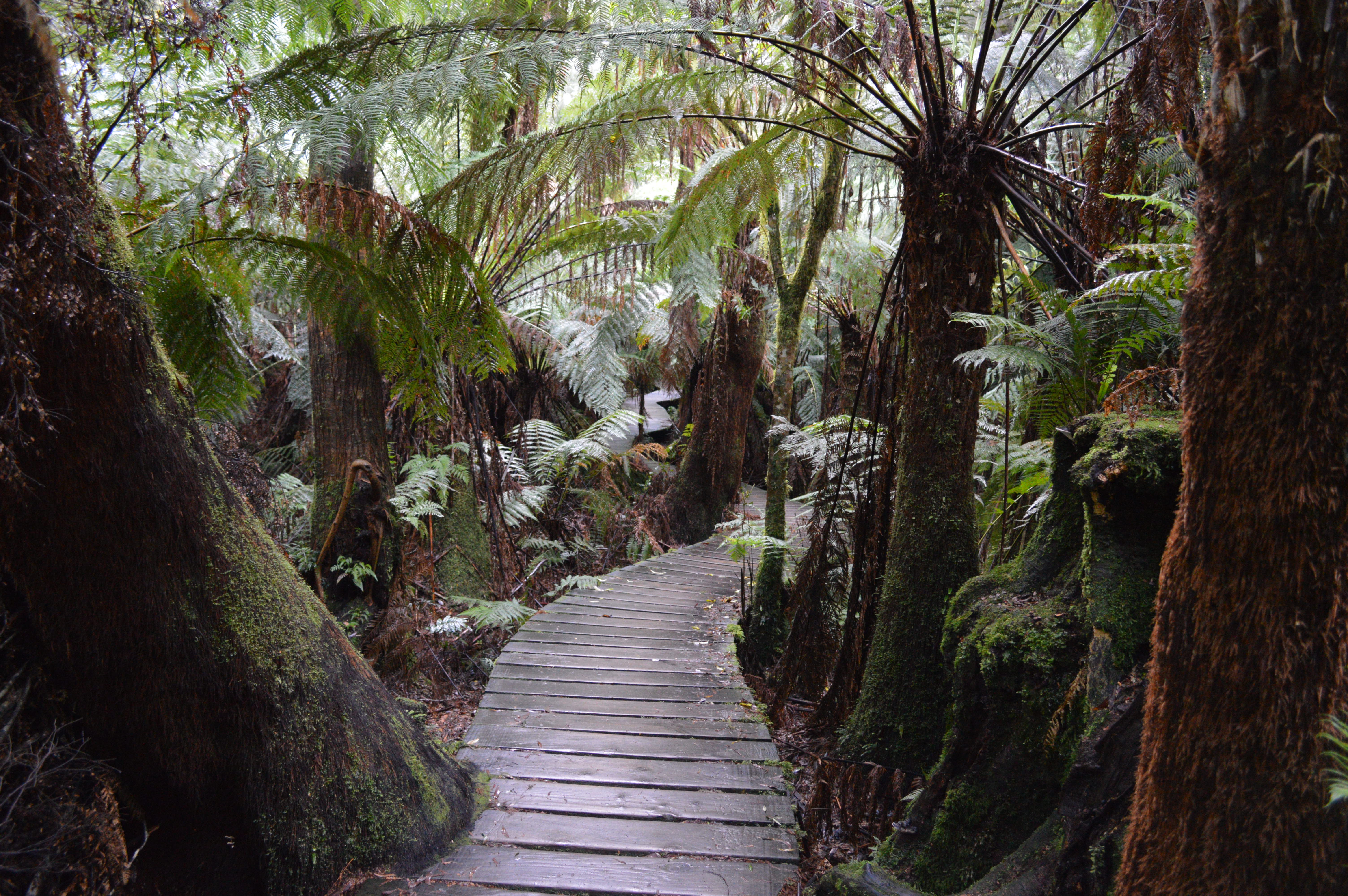 1-Day Ultimate Great Ocean Road Tour