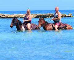Mother's Day SPECIAL Horse Back Riding - Jamaican ID Required