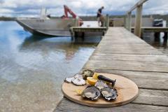 The Sip and Shuck Experience Great Eastern Wine Week 2022