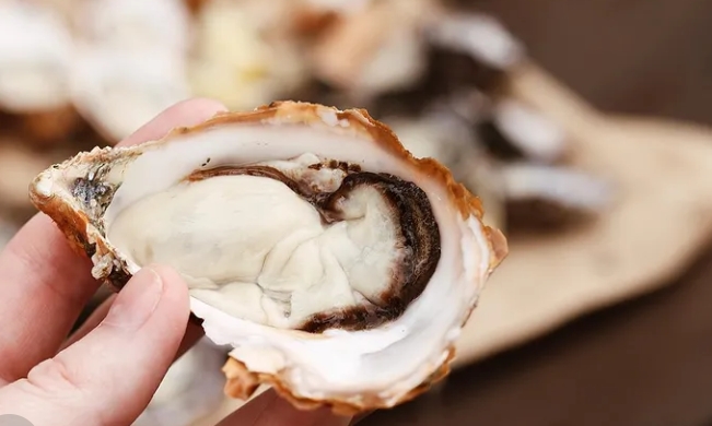 OYSTER FARM EXPERIENCE