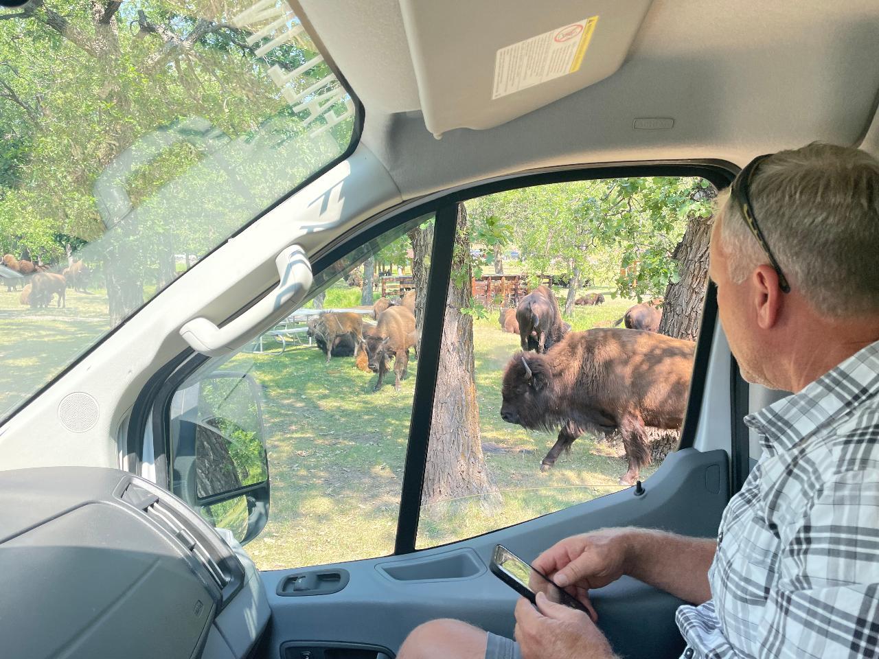 Black Hills Parks, Monuments and Mount Rushmore Tour