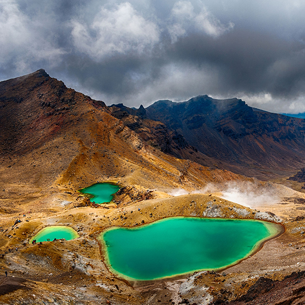 National Park Village - Park and Ride - to Tongariro Alpine Crossing Return