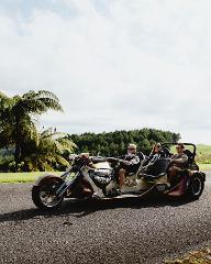 Beach Cruise (25 mins) | max 4 passengers | price per vehicle 