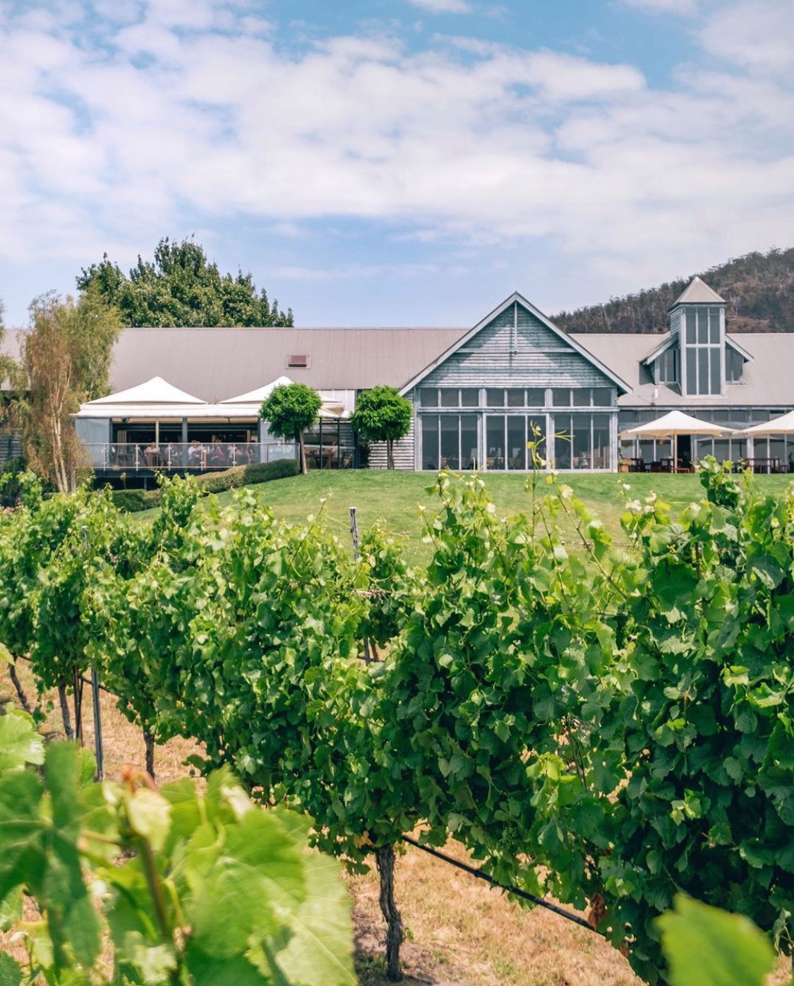 Flight and Feast – Frogmore Creek Cellar Door and Restaurant, Coal Valley