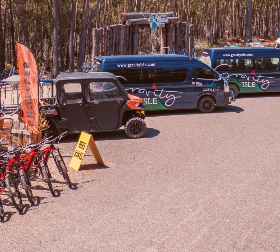 Full Day Buggy Ride + Lunch