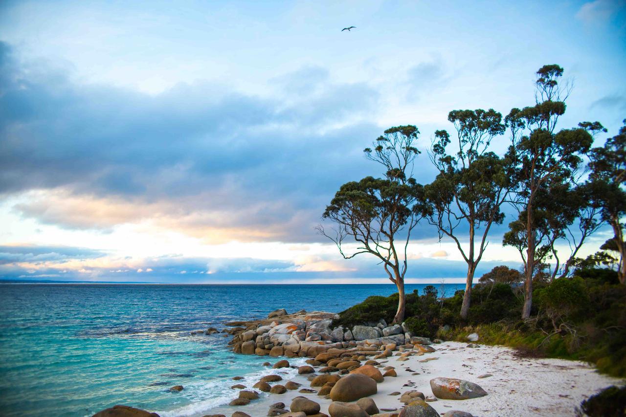 Shuttle Bay Of Fires Coastal Ride, Pickup from Swimcart and Top Drop