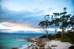 Shuttle - Bay Of Fires Coastal Ride, Pickup from Swimcart and Top Drop