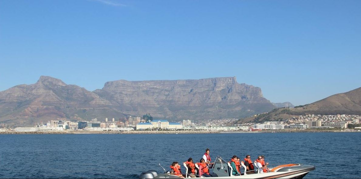 Combo Marine Wildlife Cruise & Cape Town City Full Day Tour - Shared 