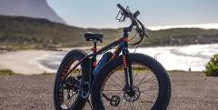 E-Bike Cape Peninsula and Cape of Good Hope Full Day Tour - Shared 
