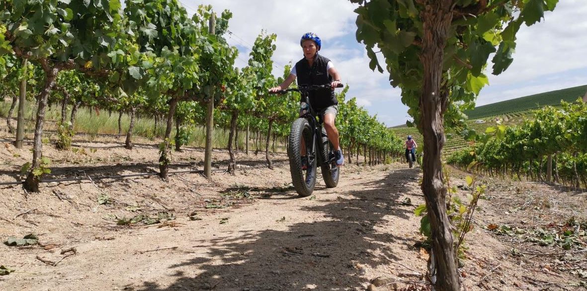 E-Bike Wine Route Full Day Tour - Shared 