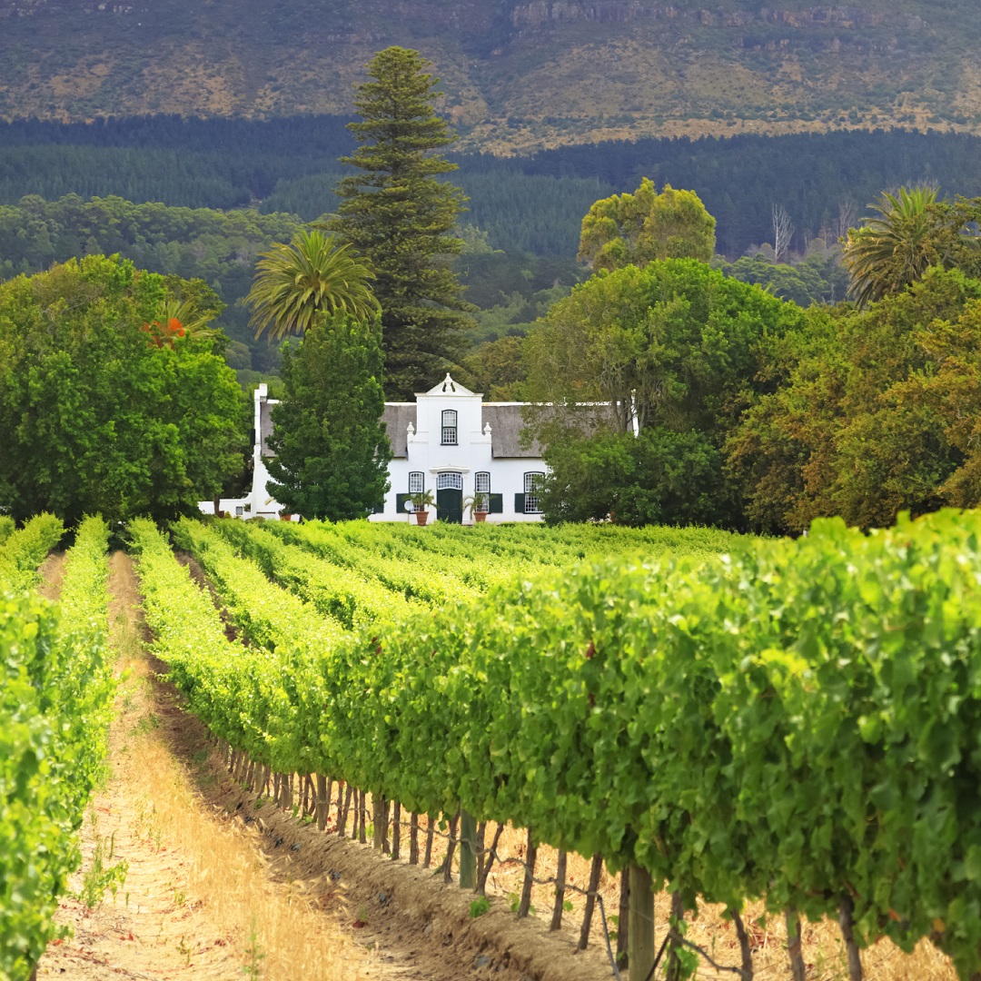 Wine Route Full Day Tour - Shared