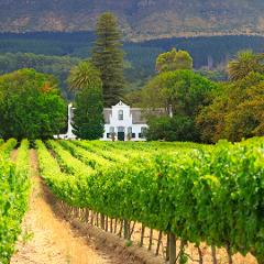 Wine Route Half Day Tour - Shared 