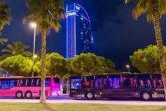 Party Bus - 1 hour (up to 19 pax)