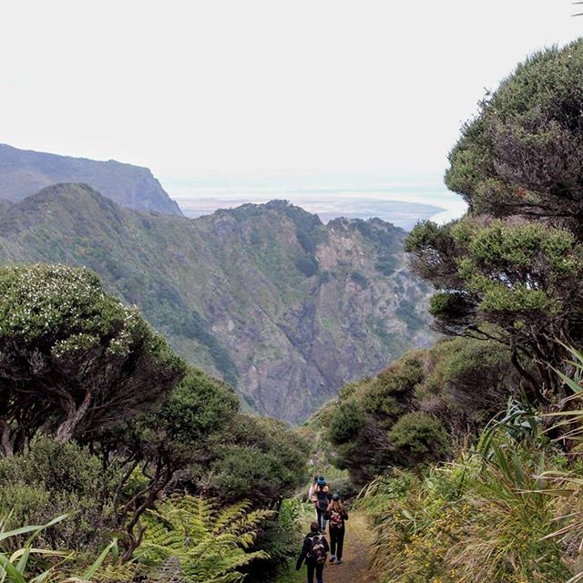 Piha Adventure Day Trip