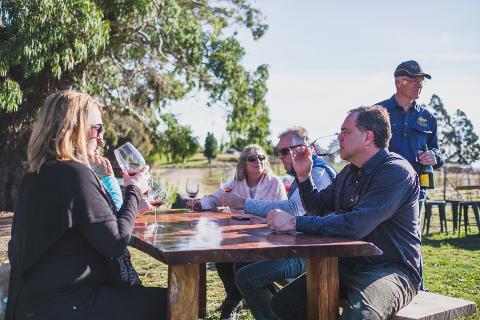 Craigie Knowe Vineyard: Vineyard Tour Tasmania Australia