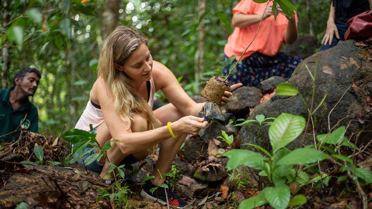 Tree Planting And Rainforest Trek Day Tour - South Sri Lanka