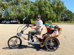 Self-guided McLaren Vale e-TukTuk Tour, from Adelaide