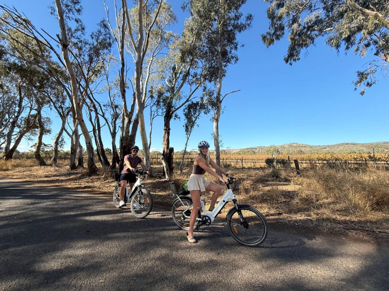 McLaren Vale Guided E-Bike, Wine & Stories Tour