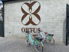 Ortus Wines - Full Day Hire