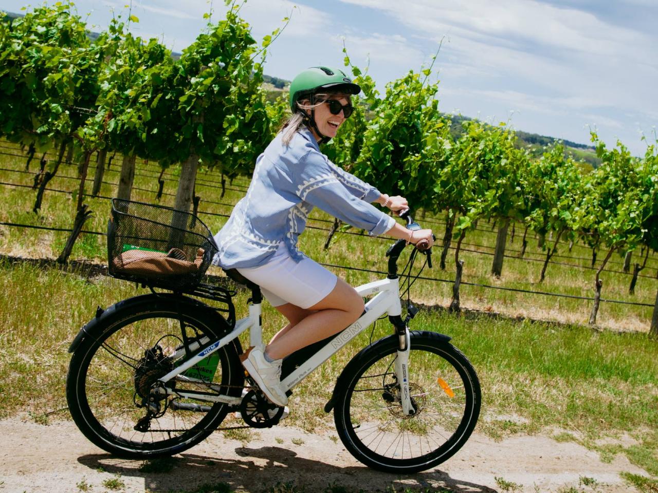 Guided McLaren Vale e-Bike Wine Tour, from Adelaide