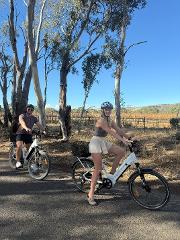 Grenache & Gourmet: Discover McLaren Vale by eBike