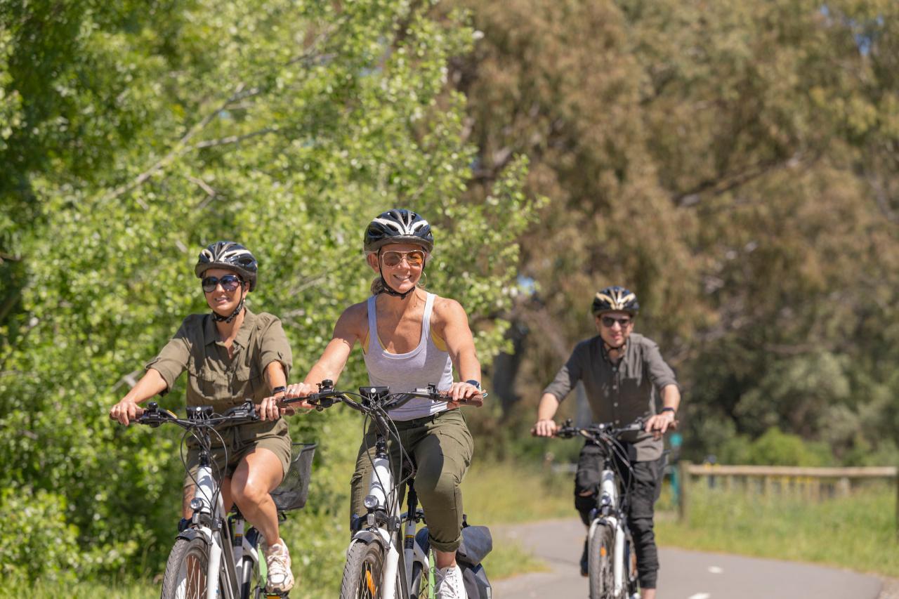 Full Day Hire - McLaren Vale Visitor Centre 