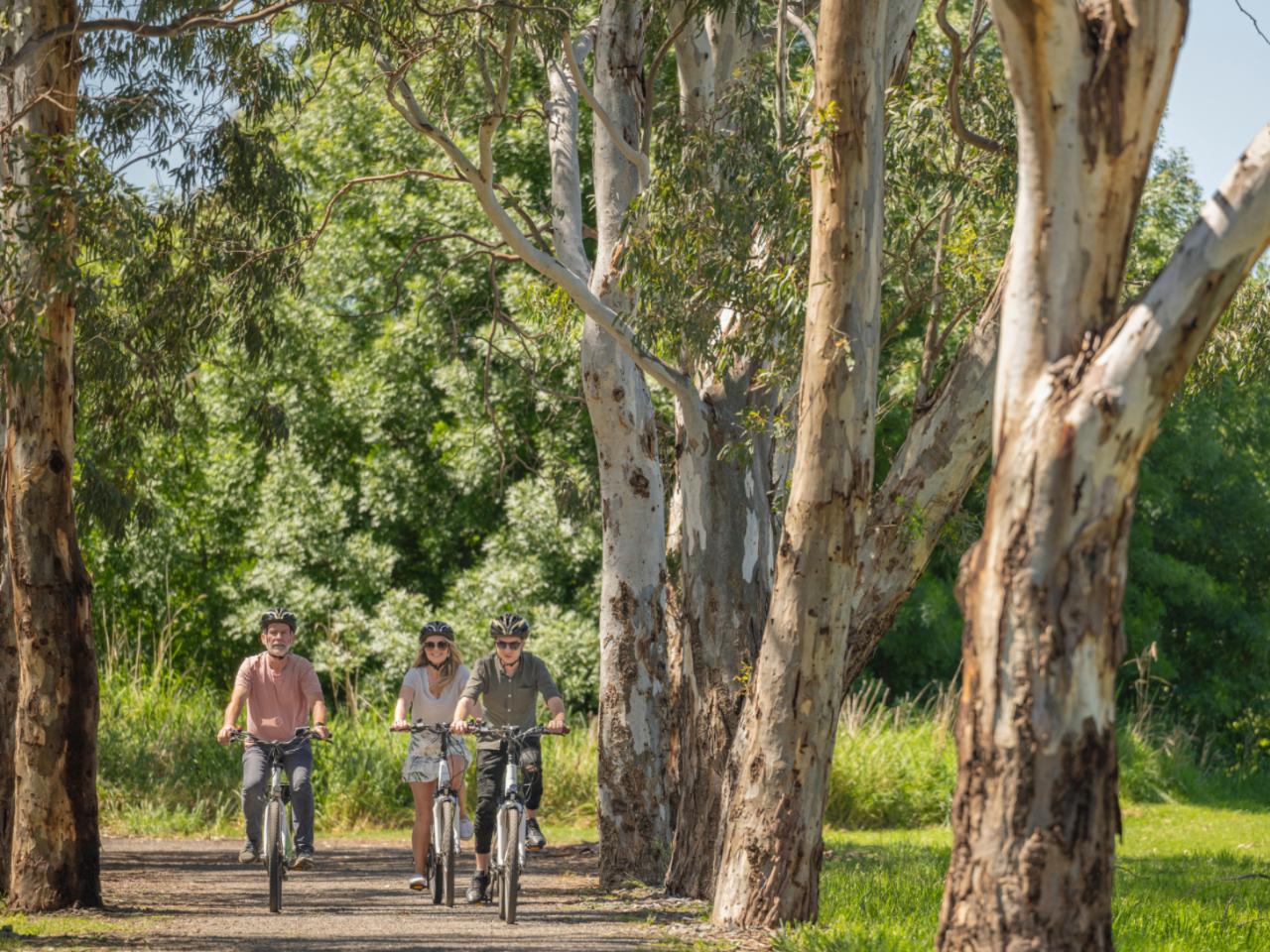 Amazing Winter eBike Special | Simple Pleasures of McLaren Vale